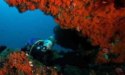 5 of the best diving destinations in winter