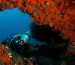 5 of the best diving destinations in winter
